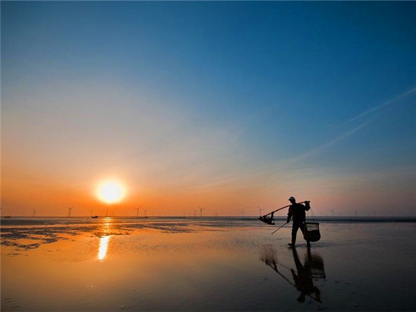 东台沿海湿地美景